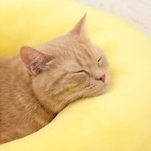 All-Season pet Pillow for Cats and Dogs, Soft and Comfortable for Sleeping and Playing in Kuwait