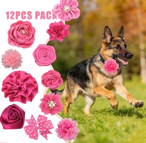 12 Pcs Pink Dog Collar Flowers Detachable Embellishment Elastic Rubber Band Soft Chiffon Pet Collar Charms for Female Dogs Cats Wedding Birthday Parties Grooming in Kuwait