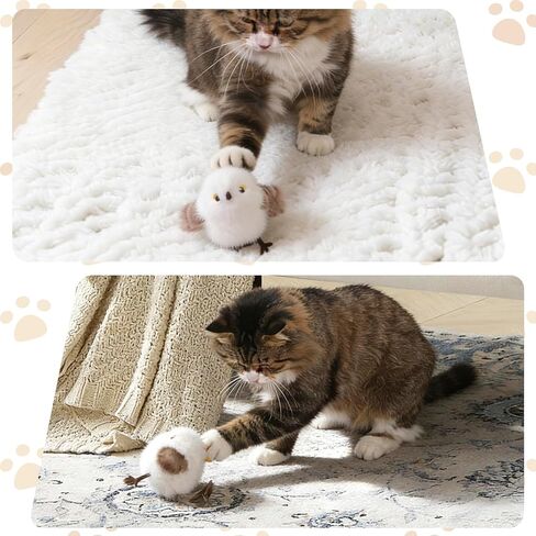 Cat Toys Flapping Bird Titmouse, Interactive Cat Kicker with 3 Modes, Touch Activated, Catnip Pouch, USB Rechargeable, Washable Plush Cover for Indoor Cats in Kuwait