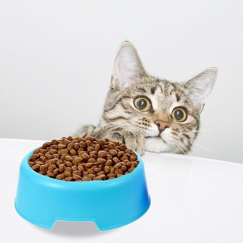 KALLORY 2pcs Candy Color Plastic Round Dog Bowl Puppy Food and Water Feeder Set, Portable Pet Feeding Dish for Dogs and Cats, Pet Food Container for Home and Travel in Kuwait