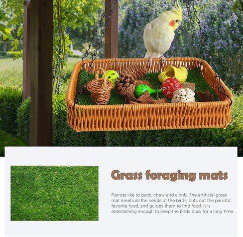 لعبة الطيور الطبيعية العلف الببغاء تمزيق اللعب صندوق كونور مضغ اللعب لكوكاتيل Lovebird الببغاء الببغاء الطيور الصغيرة والمتوسطة in Kuwait