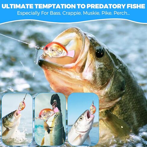 5PCS Lure Set - Freshwater & Saltwater Bionic Fish-Shaped Fishing Light, Deep Drop Underwater Glow Attractor, Built-in White/Red/Green LED Flashing Lights, Water-Activated Glow Bait Light (Fish-Form) in Saudi Arabia