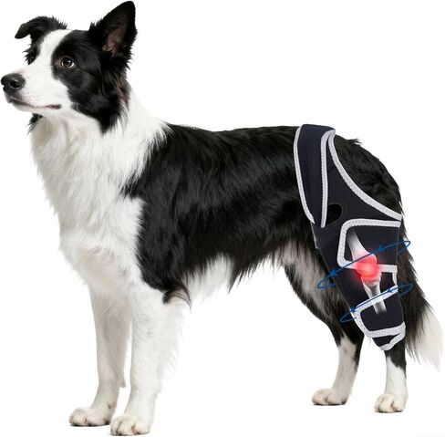 Adjustable Canine Knee Brace for Back Leg with Metal Support Strip,Keeps Joints Stable & Support Dog's Leg,Size L. in Kuwait