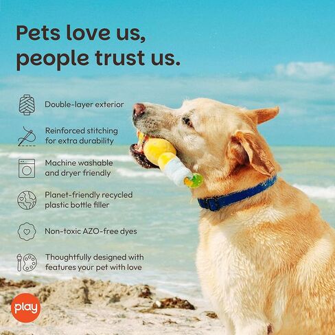 يلعب. ألعاب الكلاب القطيفة اللطيفة من PET LIFESTYLE AND YOU - لعبة مضغ مجعدة متينة للمشروبات الصيفية الاستوائية من الجنة للكلاب - قابلة للغسل في الغسالة، مواد معاد تدويرها (Canine Cerveza) in Kuwait