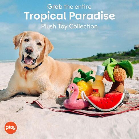 يلعب. ألعاب الكلاب القطيفة اللطيفة من PET LIFESTYLE AND YOU - لعبة مضغ مجعدة متينة للمشروبات الصيفية الاستوائية من الجنة للكلاب - قابلة للغسل في الغسالة، مواد معاد تدويرها (Canine Cerveza) in Kuwait
