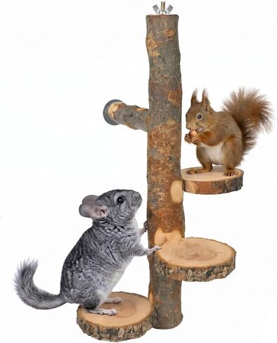 YKD Chinchilla Large Hanging Wooden Rotating Platform - Small Animals Natural Fruit Wood Standing Platform - Squirrel Suger Glider Platform - Bird Perch Platform in Kuwait