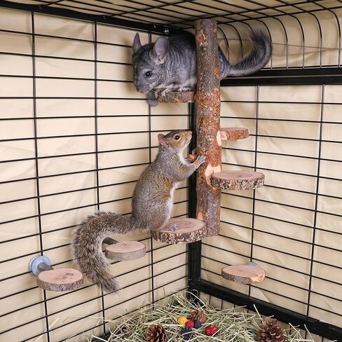 YKD Chinchilla Large Hanging Wooden Rotating Platform - Small Animals Natural Fruit Wood Standing Platform - Squirrel Suger Glider Platform - Bird Perch Platform in Kuwait