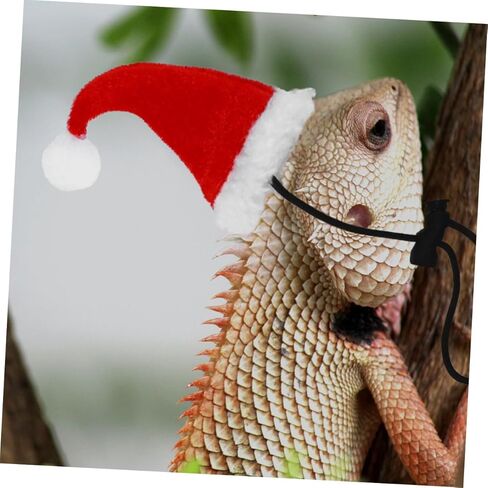 COHEALI Adjustable Lizard Leash Harness Set for Bearded Dragon and Gecko with Christmas Hat Scarf, Reptile Traction Rope for Outdoor Walking and Festive Pet Accessories in Kuwait
