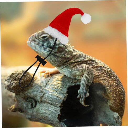 Abaodam 2 Sets Bearded Dragon Lizard Harness Leash Adjustable Traction Rope with Christmas Hat and Scarf Holiday Costume for Small Reptile Pets Outdoor Walking in Kuwait