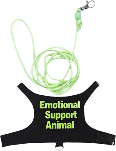 Durability Lizards Leashes Set Control Rope Traction Belt Outdoor Pet Harnesses for Fun Walking Leashes in Kuwait