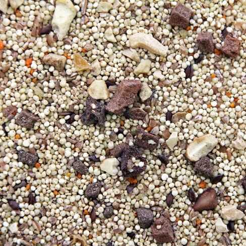 Worldly Cuisines Bird Food Appetizer in Kuwait