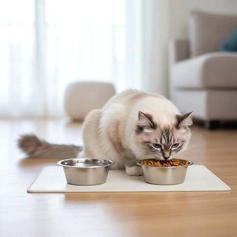2 Pack Metal Dog Bowls, Stainless Steel Dog Bowls, Metal Food and Water Dish, 5.1" Basic Pet Feed Bowl for Medium Dogs and Cat, Replacement Bowl for Elevated Stand, Dishwasher Safe Dish in Kuwait