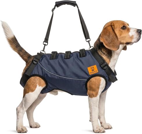 Dog Lift Harness for Senior Dogs – Full Body Support Sling for Back Legs & Hips, Adjustable Mobility Assist Vest for Standing, Walking, Stairs & Car, Medium/Large Dogs in Kuwait