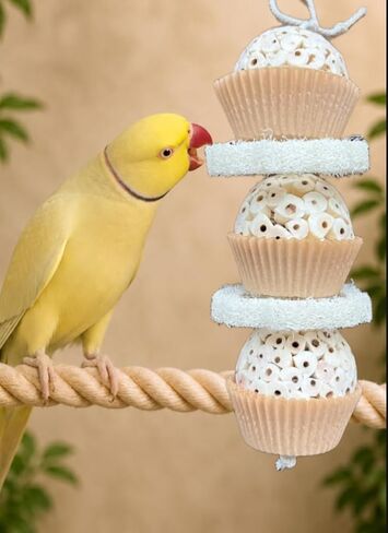 Shred & Destroy Natural Bird Toy - Double Texture Soft & Crunchy - Sola Ball and Loofah Plant - Medium Birds - Cockatiels, Conures - 2 Pack in Kuwait