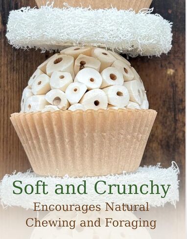 Shred & Destroy Natural Bird Toy - Double Texture Soft & Crunchy - Sola Ball and Loofah Plant - Medium Birds - Cockatiels, Conures - 2 Pack in Kuwait