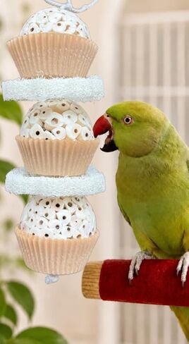 Shred & Destroy Natural Bird Toy - Double Texture Soft & Crunchy - Sola Ball and Loofah Plant - Medium Birds - Cockatiels, Conures - 2 Pack in Kuwait