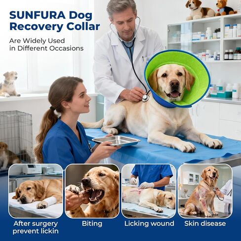 Dog Cone Collar Soft Cone for Dogs Dirt-Resistant and Washable Soft Dog Elizabethan Collars for Small Large Medium Dogs After Surgery Recovery CollarsL (Neck: 15-17.3") in Kuwait