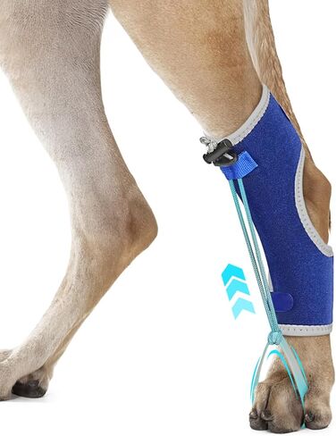 Dog Knuckling Braces Wrap for Hyperflexion of Phalanges Cause by Sciatic Nerve Damage, Carpal Flexural Deformity - Dual Locking Straps for Safe Adjustable Toe Lift Support (Black, Middle) in Kuwait