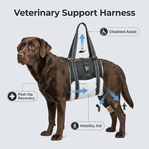 Dog Harness for hind Legs and hind Body, Hip Support Harness, Rear Leg Assist for Senior Dogs (Mdium) for 24-45lbs in Kuwait