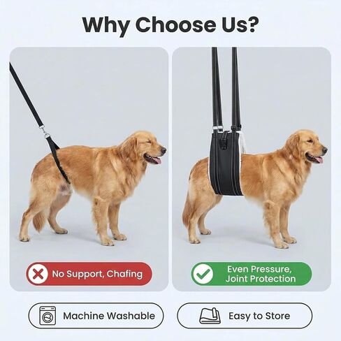 Dog Harness for hind Legs and hind Body, Hip Support Harness, Rear Leg Assist for Senior Dogs (Mdium) for 24-45lbs in Kuwait
