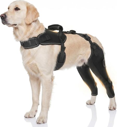 Dog Knee Brace for Back Leg, Adjustable Dog ACL Brace with Assist Handle for CCL Cruciate Ligament, Rear Leg Sleeve for Torn Ligaments, Arthritis Pain Relief, Lick Protection (XL) in Kuwait