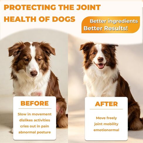 Hip & Joint Supplement for Dogs, Hip and Joint Chews Support Mobility, Senior Small All Breed Pain Relief with Glucosamine Chondroitin MSM Turmeric Green Lipped Mussel, Chicken Flavor, 15 Ct in Saudi Arabia