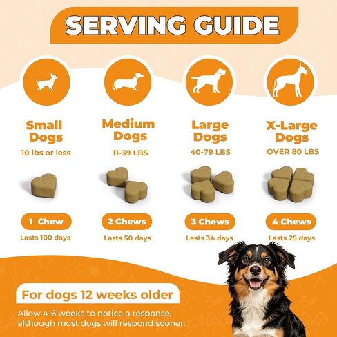 Hip & Joint Supplement for Dogs, Hip and Joint Chews Support Mobility, Senior Small All Breed Pain Relief with Glucosamine Chondroitin MSM Turmeric Green Lipped Mussel, Chicken Flavor, 15 Ct in Saudi Arabia