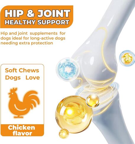 Hip & Joint Supplement for Dogs, Hip and Joint Chews Support Mobility, Senior Small All Breed Pain Relief with Glucosamine Chondroitin MSM Turmeric Green Lipped Mussel, Chicken Flavor, 15 Ct in Saudi Arabia