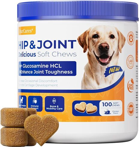 Hip & Joint Supplement for Dogs, Hip and Joint Chews Support Mobility, Senior Small All Breed Pain Relief with Glucosamine Chondroitin MSM Turmeric Green Lipped Mussel, Chicken Flavor, 15 Ct in Saudi Arabia
