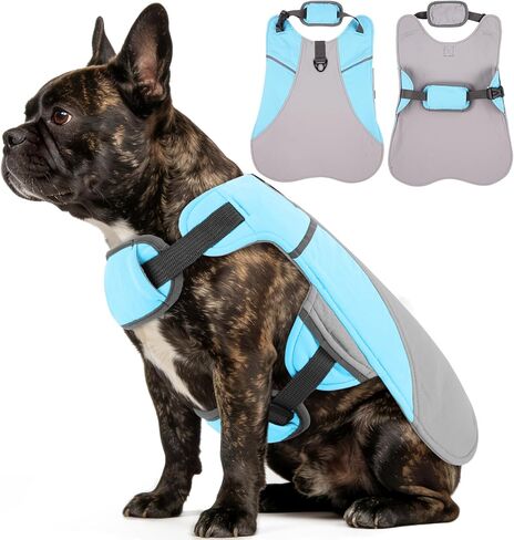 DENTRUN Dog Cooling Vest with Dual Absorbent Core, Adjustable Sun Protective Vest for Hot Weather, Doggie Ice Jacket Hiking Travel Summer Essentials, Reflective, Sun Protective Vest, Orange XXL in Saudi Arabia