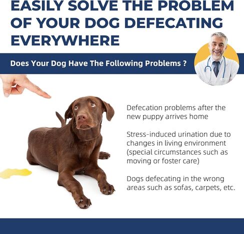 Potty Training Spray for Dogs,Puppy Potty Training Spray,Address Canine Inappropriate Elimination Habits | Proven HousebreakiHousebreng Methods for Indoor & Outdoor Environments 14.1 Oz in Kuwait