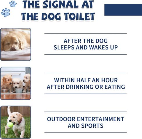Potty Training Spray for Dogs,Puppy Potty Training Spray,Address Canine Inappropriate Elimination Habits | Proven HousebreakiHousebreng Methods for Indoor & Outdoor Environments 14.1 Oz in Kuwait