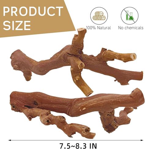 kathson 2PCS الخشب الهامستر تسلق فروع الديكور، الخشب الطبيعي الهامستر السوري تسلق ألعاب المضغ، ألعاب تمرين الفئران، ملحقات ديكور موائل الحيوانات الصغيرة للحيوانات الأليفة القزمة، الجربوع، الفئران (7.8IN) in Kuwait