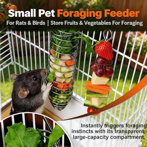 3Pcs Rat Enrichment Toys,Rat Toys for Pet Rats, Bird Food Holder,Parrot Foraging Stainless Steel Food Vegetable Holder Slow Feeder Rodent Cage Accessories in Kuwait