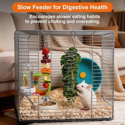 3Pcs Rat Enrichment Toys,Rat Toys for Pet Rats, Bird Food Holder,Parrot Foraging Stainless Steel Food Vegetable Holder Slow Feeder Rodent Cage Accessories in Kuwait