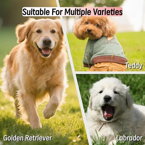 طقم مشط من قطعتين للكلاب والحيوانات الأليفة، فرشاة احترافية للعناية بالكلاب من أجل Goldendoodles وPoodles وLabradoodles وفرشاة للكلاب مع دبابيس طويلة جدًا لإزالة التشابك والعقد والحصائر بشكل فعال in Kuwait