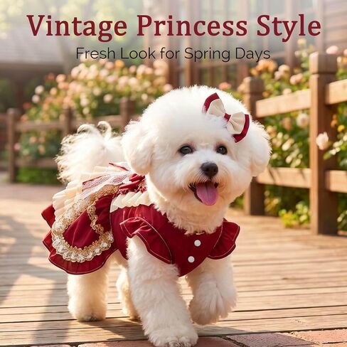 Dog Dress for Small Dogs, Vintage Dog Princess Dress with Layered Ruffle Skirt, Photo Party Outfit for Birthday, Wedding, Party, Photoshoot（M in Kuwait