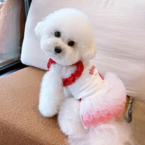 Strawberry Print Dog Skirt, Cherry 3D Decorative Ruffle Pet Clothing, Suitable for All Dogs and Cats, Cute Puppy Princess Dress (Small) in Saudi Arabia