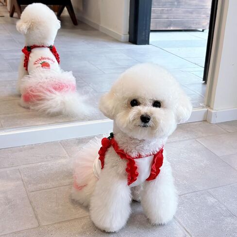Strawberry Print Dog Skirt, Cherry 3D Decorative Ruffle Pet Clothing, Suitable for All Dogs and Cats, Cute Puppy Princess Dress (Small) in Saudi Arabia