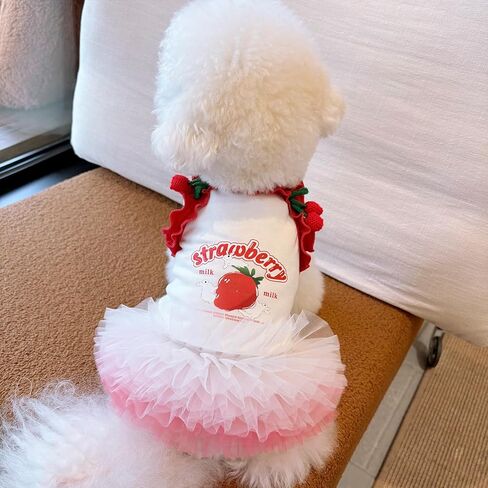 Strawberry Print Dog Skirt, Cherry 3D Decorative Ruffle Pet Clothing, Suitable for All Dogs and Cats, Cute Puppy Princess Dress (Small) in Saudi Arabia