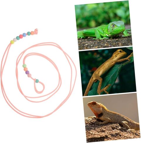 SUPVOX 3pcs Adjustable Lizard Harness with Lead Rope, Glow-in-the-Dark Reptile Leash Set for Small Pets Like Bearded Dragons and Geckos, Outdoor Walking Safety Gear in Kuwait