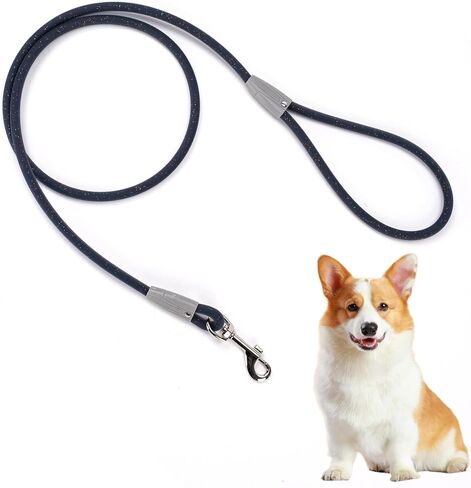 5FT Nylon Waterproof Dog Leash, Durable Strong Odor-Proof Dog Leashes with Zinc Alloy Clip, Walking, Beach, Yard, Swimming, Training Leash for Small, Medium & Large Dogs Blue in Saudi Arabia