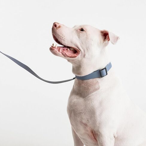 Fei & Eve Waterproof Dog Leash - 4FT, Odor-Free PVC Material, Easy to Clean, 360° Swivel Hook, Suitable for Small, Medium & Large Dogs, Blush in Saudi Arabia