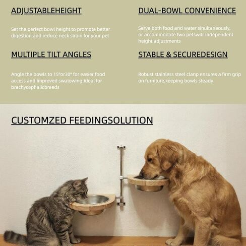 Elevated Cat Bowls,Raised Dog Food Bowls,Adjustable Wall Mounted Pet Feeder for Dogs & Cats, Tilted Angle Design for Neck & Spine Relief, Space Saving Easy Clean Feeding Station in Kuwait