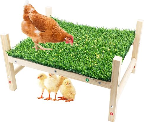 FlidRunest Extra-Large Wooden Chicken Toys, Natural Chicken Foraging Bed Toy for Coop, Multifunctional Training Perch Stand and for Poultry Chick, Hens, Rats in Kuwait