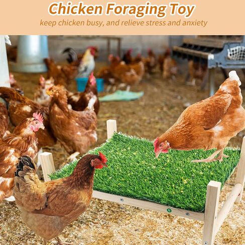 FlidRunest Extra-Large Wooden Chicken Toys, Natural Chicken Foraging Bed Toy for Coop, Multifunctional Training Perch Stand and for Poultry Chick, Hens, Rats in Kuwait