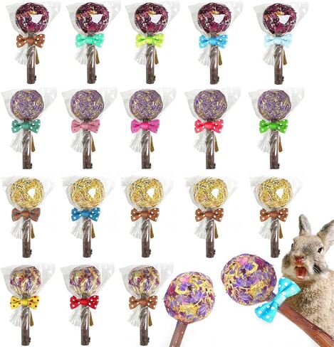 kathson 20PCS Rabbit Timothy Hay Treats Sticks,Interactive Bunny Lollipop Chew Sticks,Natural Guinea Pigs Chewing Treats Molar Teeth Toys for Small Animals,Chinchilla,Hamster,Gerbil in Kuwait