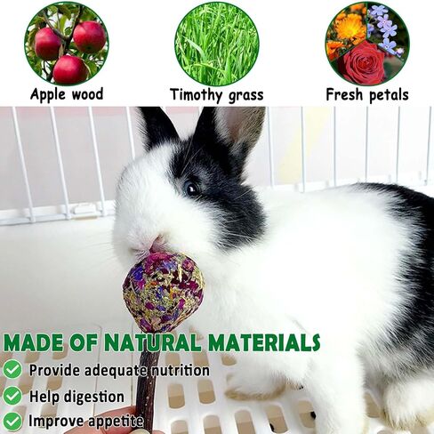 kathson 20PCS Rabbit Timothy Hay Treats Sticks,Interactive Bunny Lollipop Chew Sticks,Natural Guinea Pigs Chewing Treats Molar Teeth Toys for Small Animals,Chinchilla,Hamster,Gerbil in Kuwait