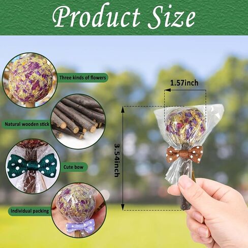 kathson 20PCS Rabbit Timothy Hay Treats Sticks,Interactive Bunny Lollipop Chew Sticks,Natural Guinea Pigs Chewing Treats Molar Teeth Toys for Small Animals,Chinchilla,Hamster,Gerbil in Kuwait