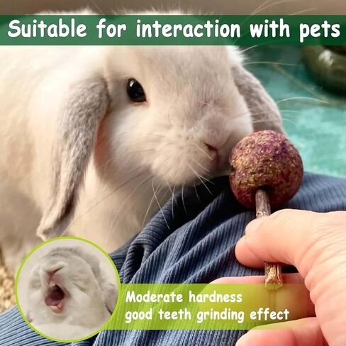 kathson 20PCS Rabbit Timothy Hay Treats Sticks,Interactive Bunny Lollipop Chew Sticks,Natural Guinea Pigs Chewing Treats Molar Teeth Toys for Small Animals,Chinchilla,Hamster,Gerbil in Kuwait